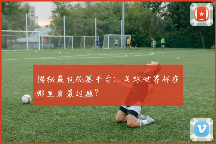 揭秘最佳观赛平台：足球世界杯在哪里看最过瘾？